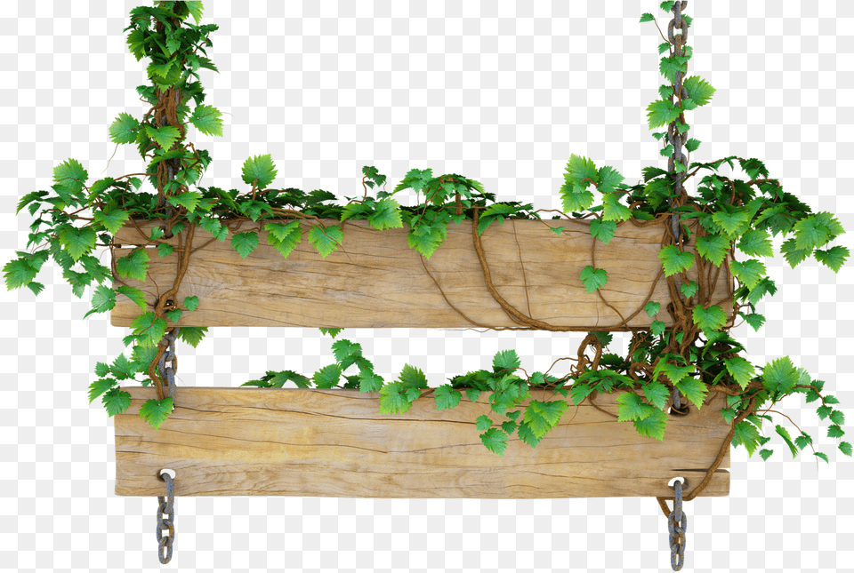 Wooden Blank Wooden Sign With Vines, Jar, Plant, Planter, Potted Plant Free Png Download