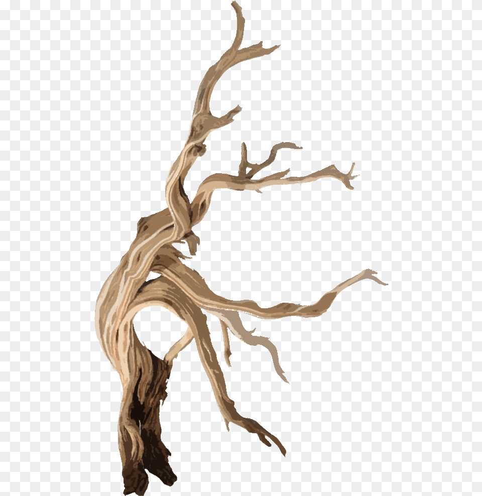Wooden Branch Decor, Wood, Person, Driftwood Png Image