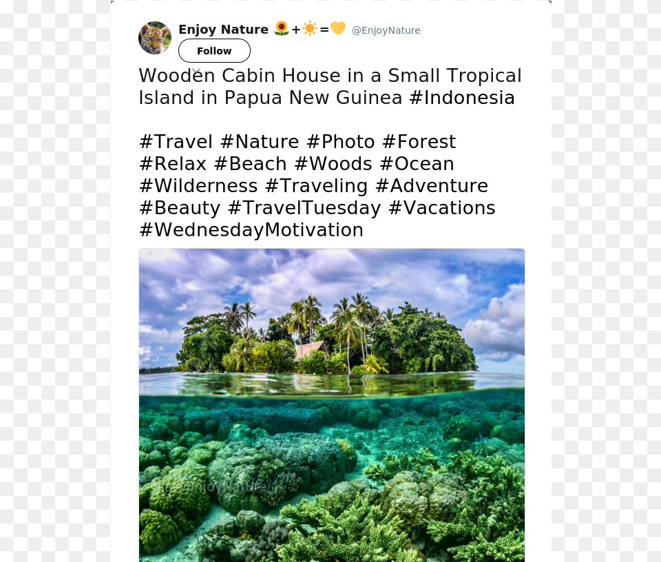 Wooden Cabin House In A Small Tropical Island In Papua Poster, Water, Vegetation, Tree, Sea Free Png