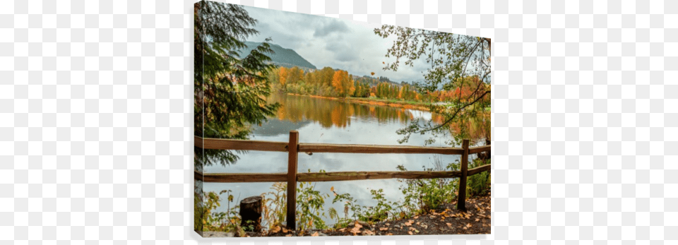 Wooden Hedge Blocks Falling Autumn Leaves The Water Loch, Nature, Outdoors, Plant, Scenery Free Transparent Png