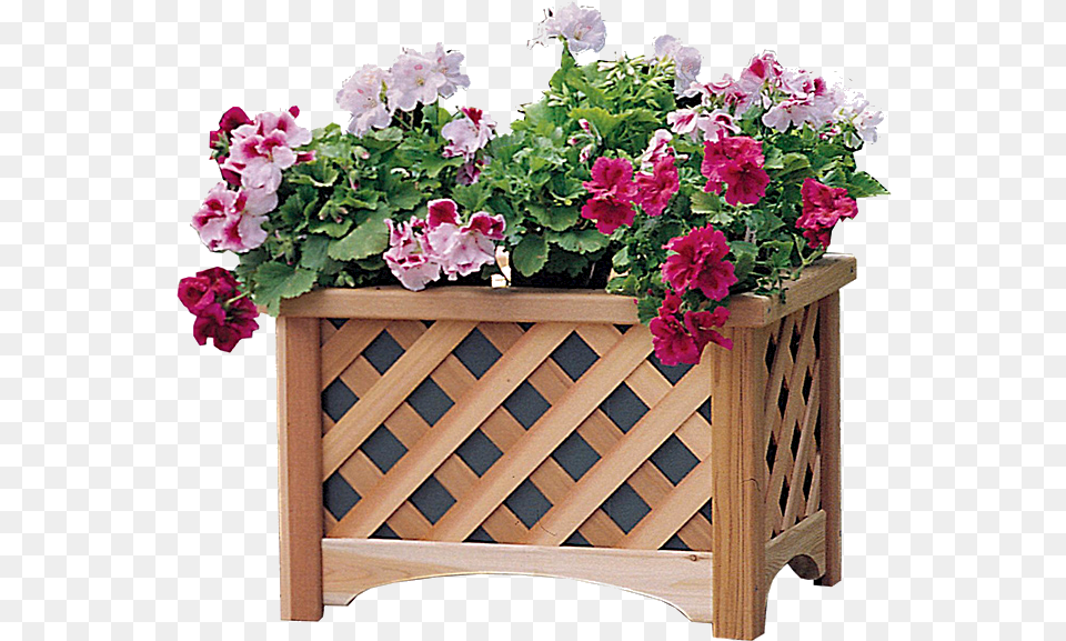 Wooden Planter Boxes, Jar, Plant, Potted Plant, Pottery Free Png