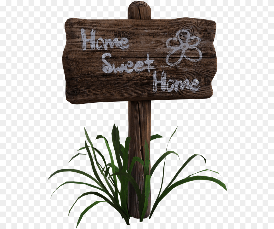 Wooden Sign, Plant, Wood, Potted Plant Png