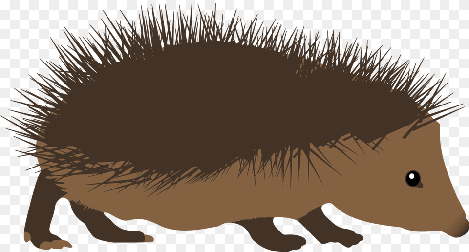 Woodland Hedgehogs Photo Background Hedgehog, Animal, Mammal, Porcupine, Rodent Free Transparent Png