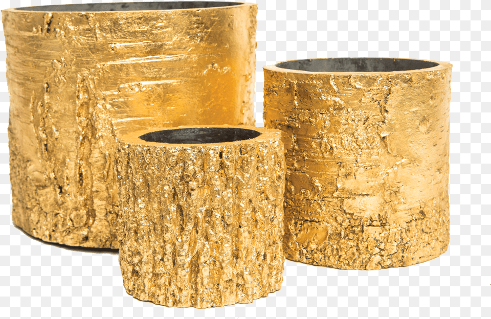 Woodland Wonder Planters Wonder Planters, Gold, Plant, Tree Png