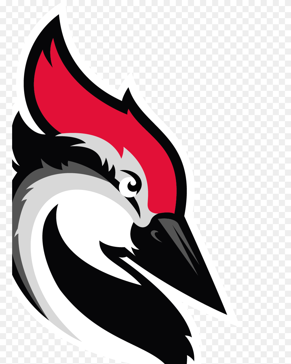 Woodpecker, Animal, Beak, Bird, Fish Png