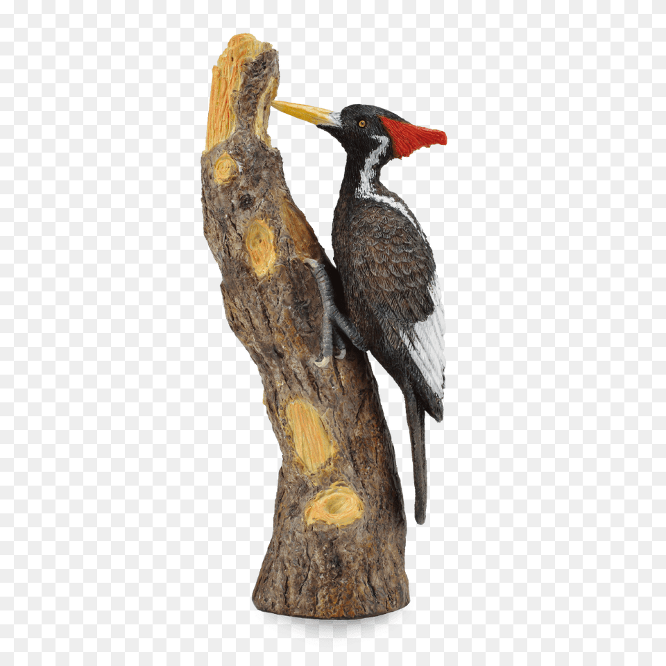 Woodpecker, Wood, Plant, Tree, Animal Free Transparent Png