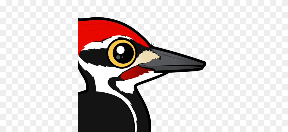 Woodpecker, Animal, Beak, Bird Free Transparent Png
