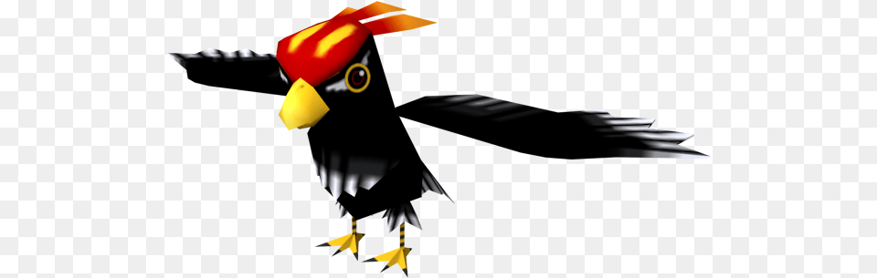 Woodpecker, Animal, Beak, Bird, Blackbird Png