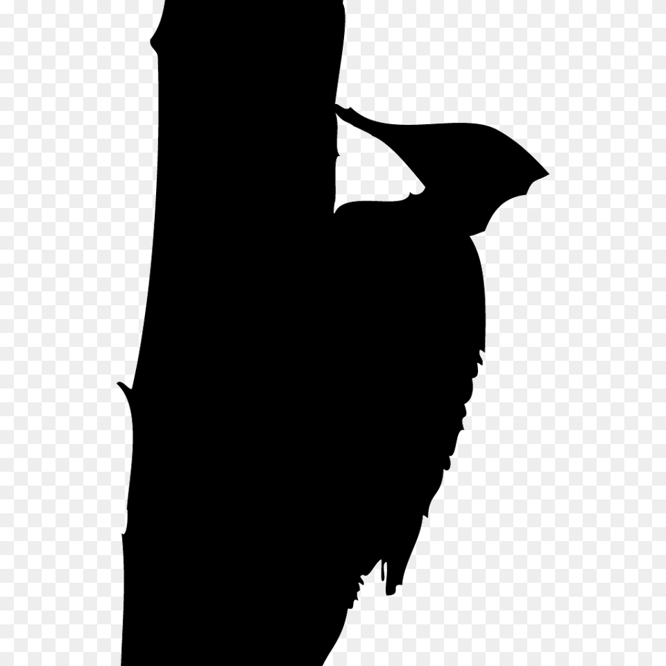 Woodpecker, Silhouette, Adult, Female, Person Free Png