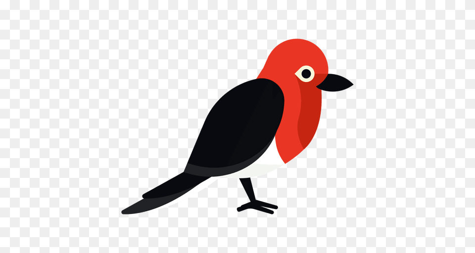 Woodpecker, Animal, Beak, Bird, Finch Png Image