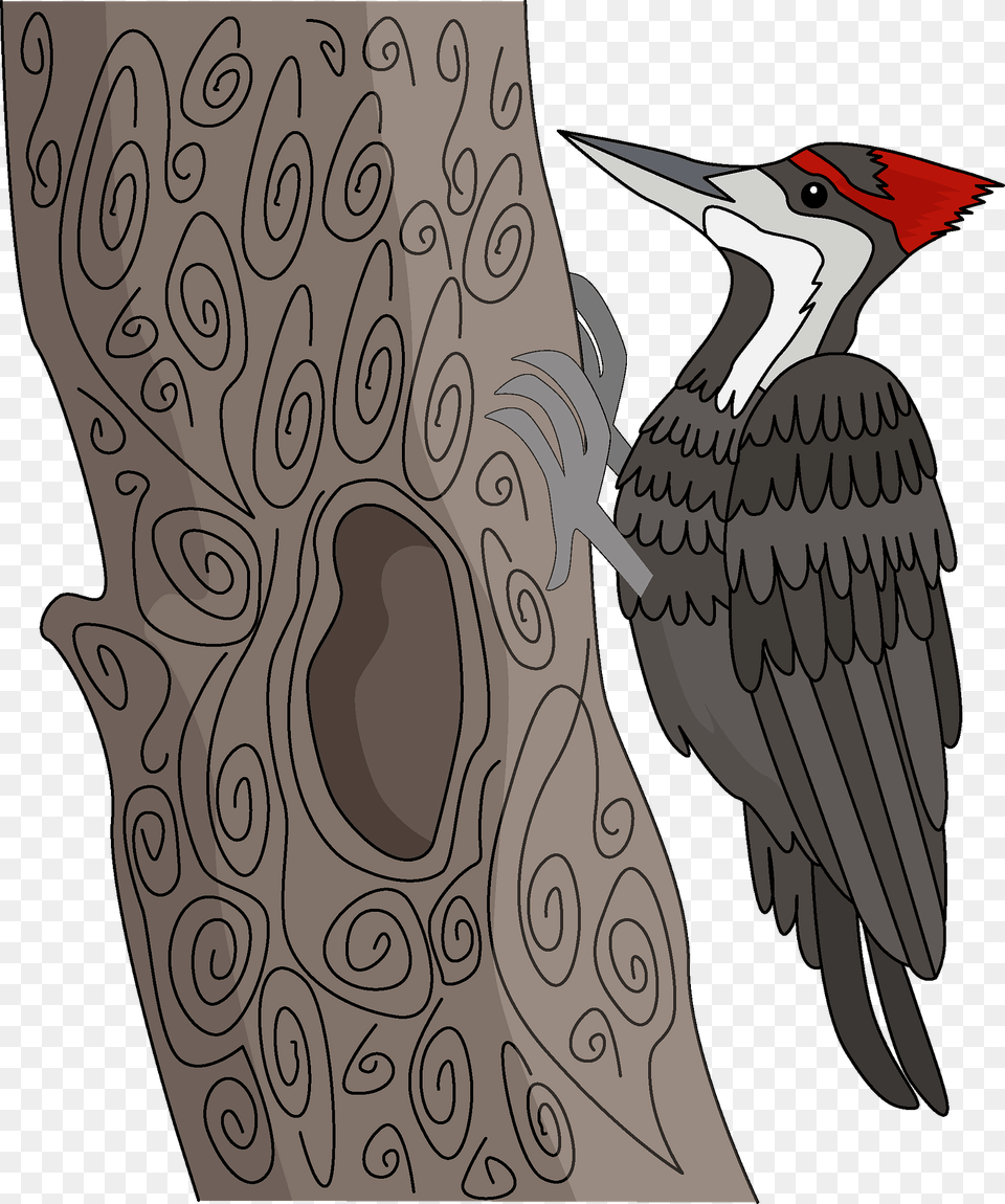 Woodpecker Clipart, Animal, Bird, Beak Free Png Download