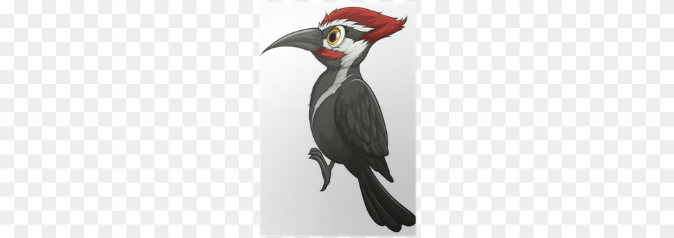 Woodpecker Clipart, Animal, Beak, Bird Png