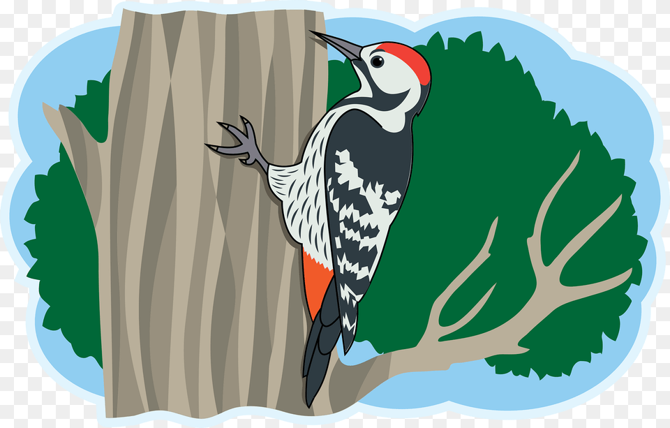 Woodpecker Clipart, Animal, Bird, Plant, Tree Free Png