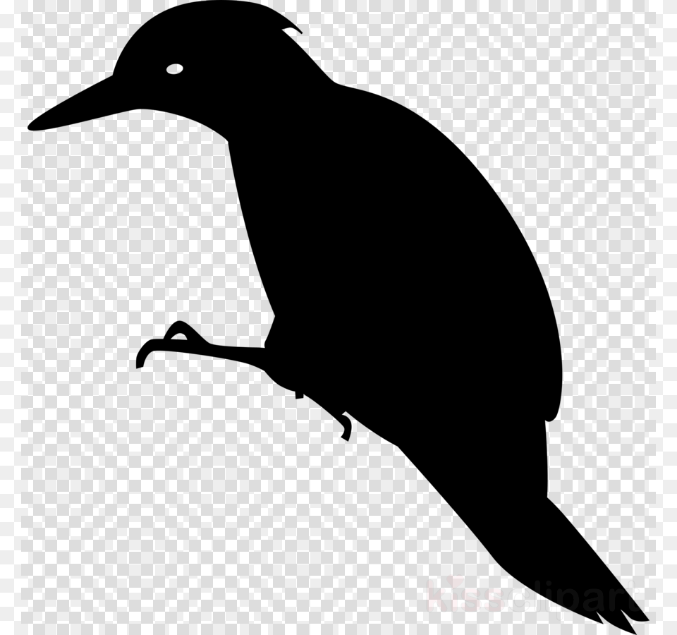 Woodpecker Clipart Woody Woodpecker Bird, Silhouette, Animal, Blackbird, Beak Free Png Download