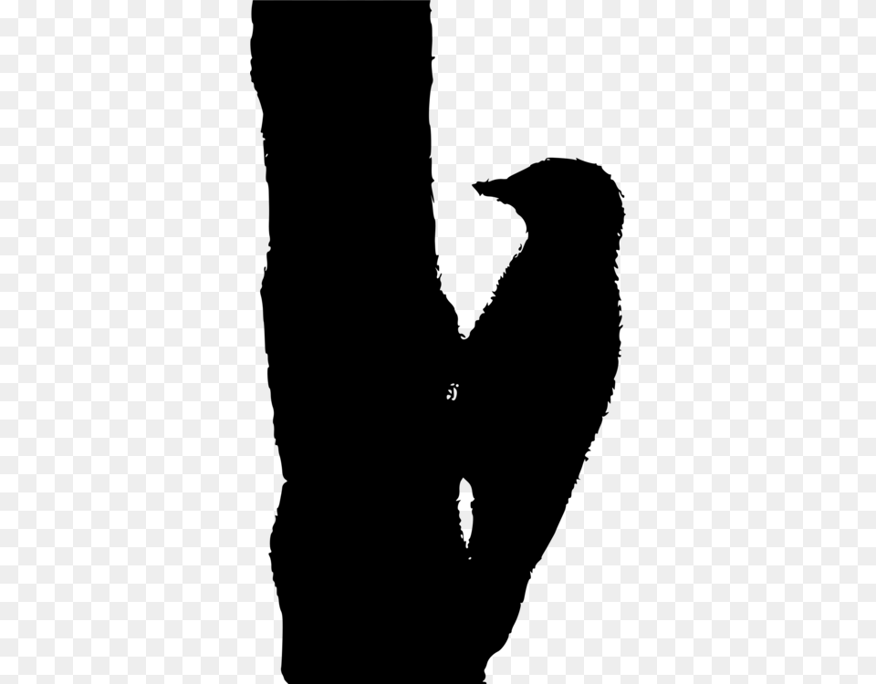 Woodpecker Drawing Black And White Bird Sparrow, Gray Free Png Download