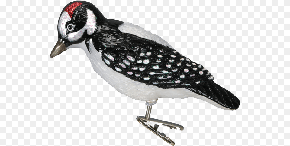 Woodpecker Pic Old World Christmas, Animal, Beak, Bird, Finch Png Image