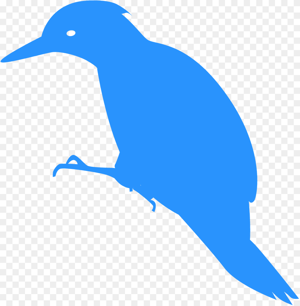 Woodpecker Silhouette, Animal, Bird, Jay, Fish Free Png