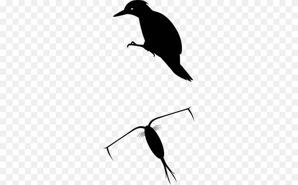 Woodpecker Silhoutte Clip Art, Silhouette, Stencil, Animal, Bird Free Png
