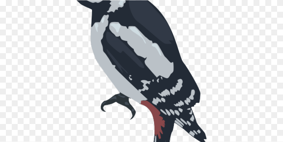 Woodpecker Transparent Adlie Penguin, Animal, Bird, Baby, Person Free Png