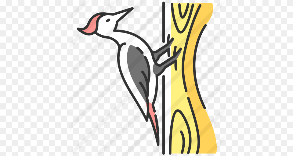 Woodpecker Woodpecker, Animal, Bird Free Png Download