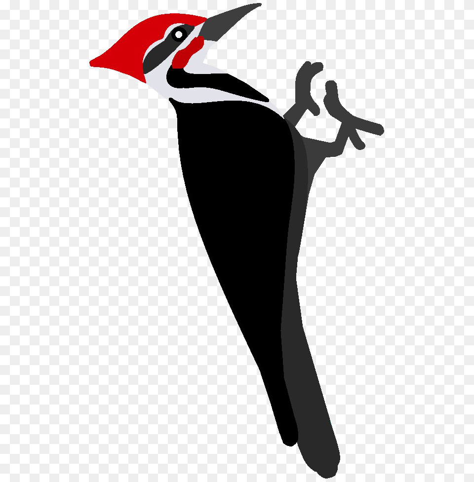 Woodpecker Woodpecker Clipart, Animal, Beak, Bird, Person Free Png Download