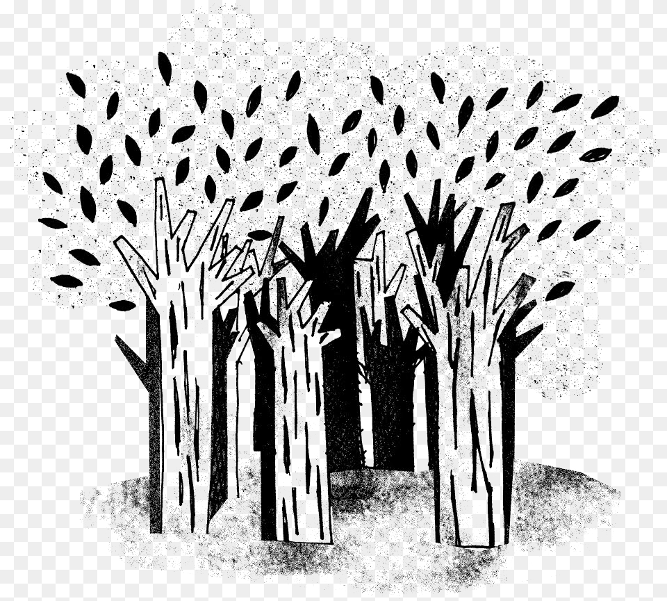 Woods, Art, Drawing, Doodle Free Transparent Png