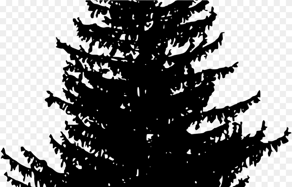 Woods Clipart Download Redwood Forest Huge Freebie White Pine Tree Silhouette, Gray Free Transparent Png