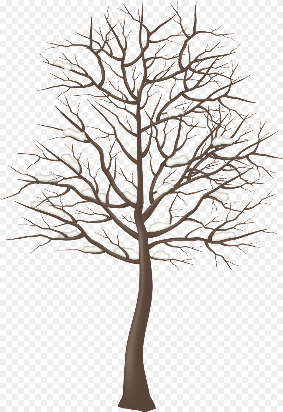 Woods Clipart Snowy Winter Tree Clipart Free Png