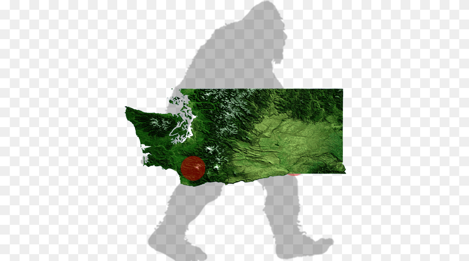 Woody And Wes Germer39s Bigfoot Sighting Yacolt, Land, Nature, Outdoors, Water Png Image