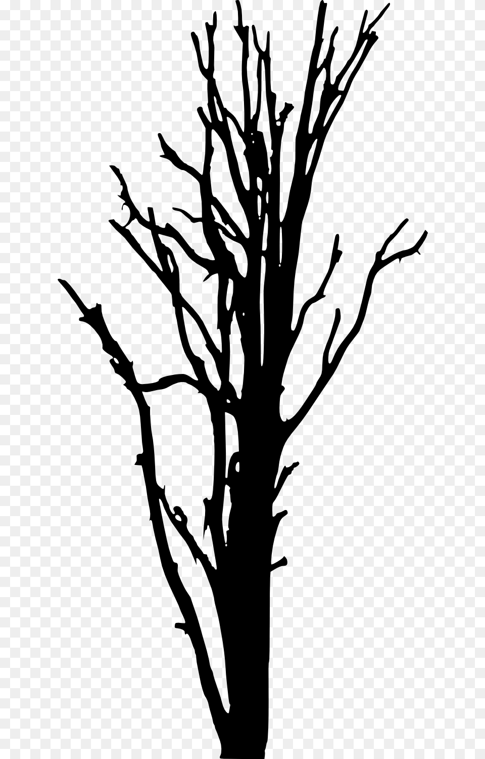 Woody Plant Tree Silhouette Clip Art Tree Trunk Silhouette, Stencil, Drawing Free Transparent Png