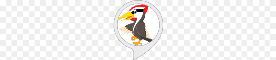 Woody Woodpecker Alexa Skills, Animal, Beak, Bird Png