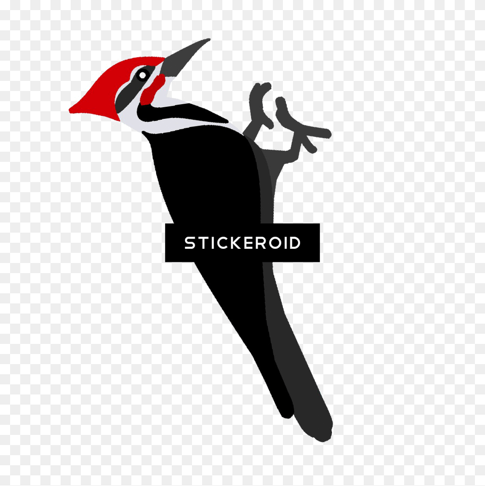 Woody Woodpecker Pileated Woodpecker, Animal, Bird, Penguin, Stencil Png Image