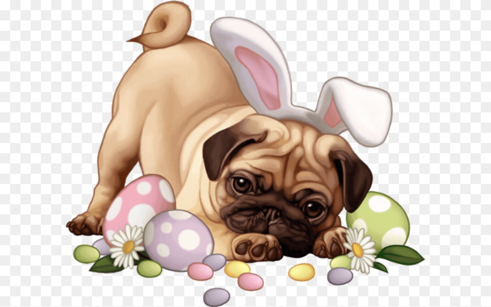 Woof Happy Easter Easter, Animal, Mammal, Canine, Pet Png