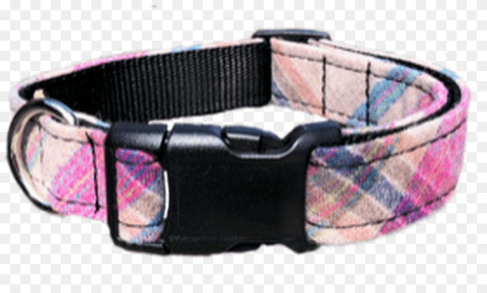 Wool Dog Alsea Belt, Accessories, Collar Png