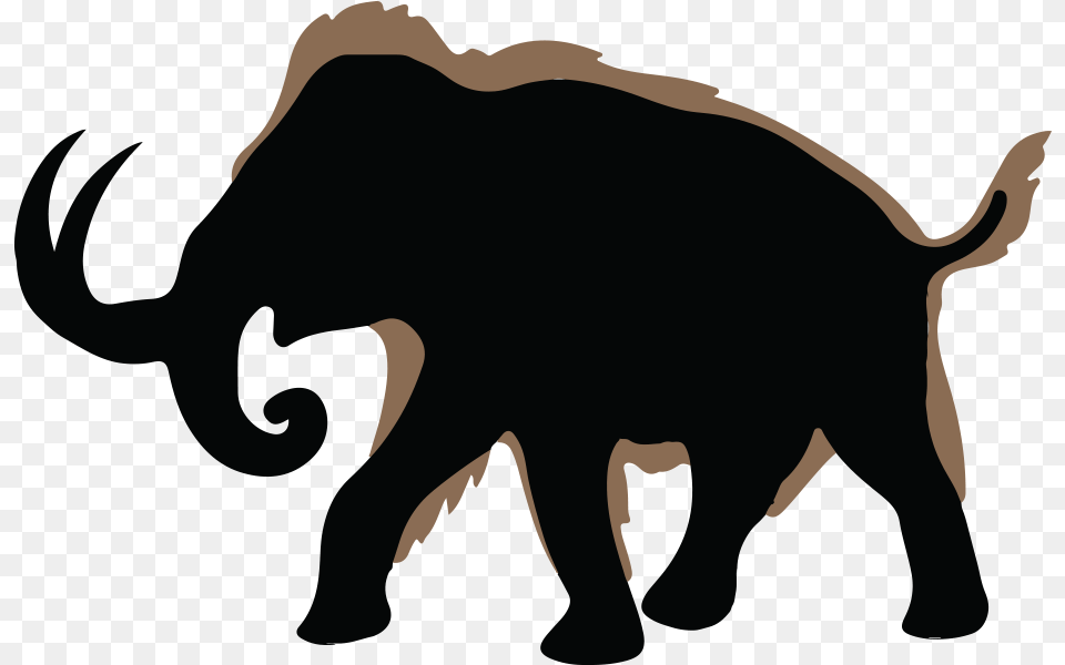 Woolly, Animal, Boar, Hog, Mammal Png Image