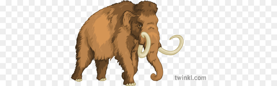 Woolly Mammoth Geography History Extinct Animals Secondary Big, Animal, Elephant, Mammal, Wildlife Free Png Download