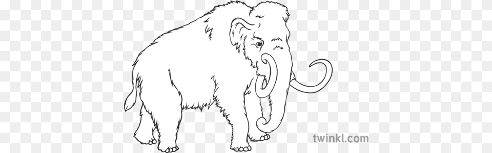 Woolly Mammoth Geography History Extinct Animals Secondary Mammoth Black And White, Person, Animal, Wildlife, Baby Png Image