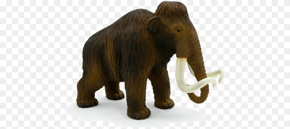 Woolly Mammoth Scale, Animal, Elephant, Mammal, Wildlife Png