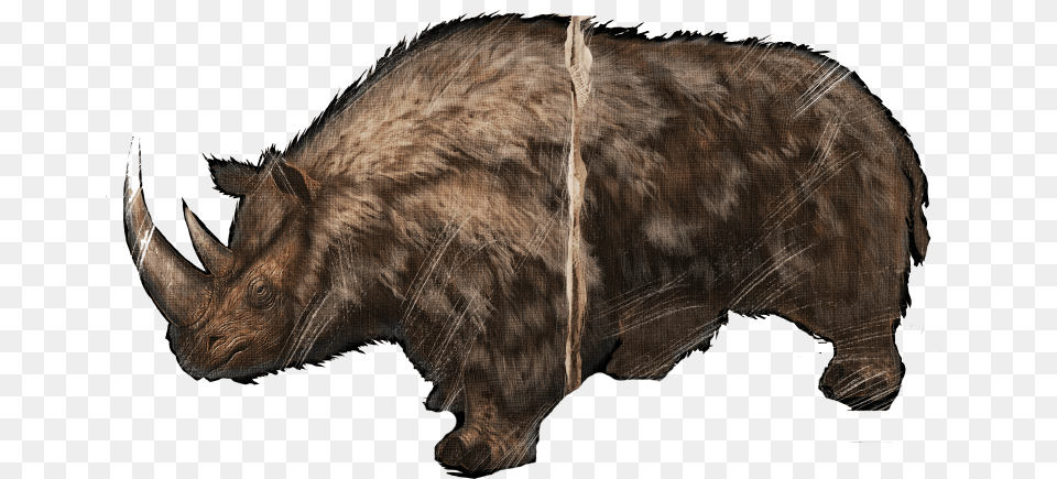 Woolly Rhino 1 Ark Dossiers Wooly Rhino, Animal, Mammal, Elephant, Wildlife Free Transparent Png