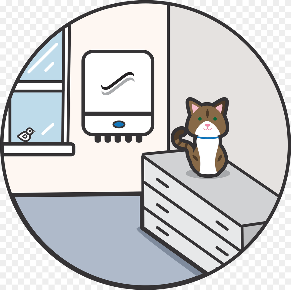 Worcester The Cat Illustration, Disk, Animal, Bear, Mammal Free Png