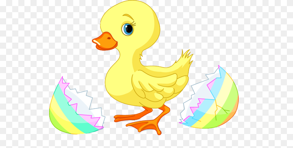 Word Clipart Duck, Animal, Bird Free Png