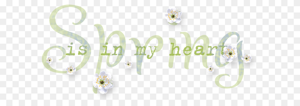 Wordart Plant, Anther, Flower, Pattern Png