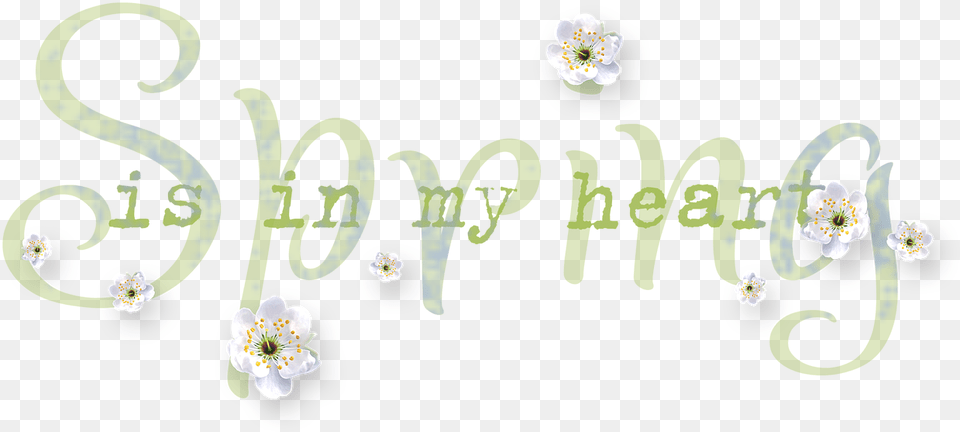Wordart The Inscription Spring Calligraphy, Anther, Plant, Flower, Adult Png Image