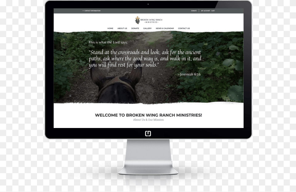 Wordpress Web Developer Web Design, Electronics, Screen, Soil, Computer Hardware Free Png Download