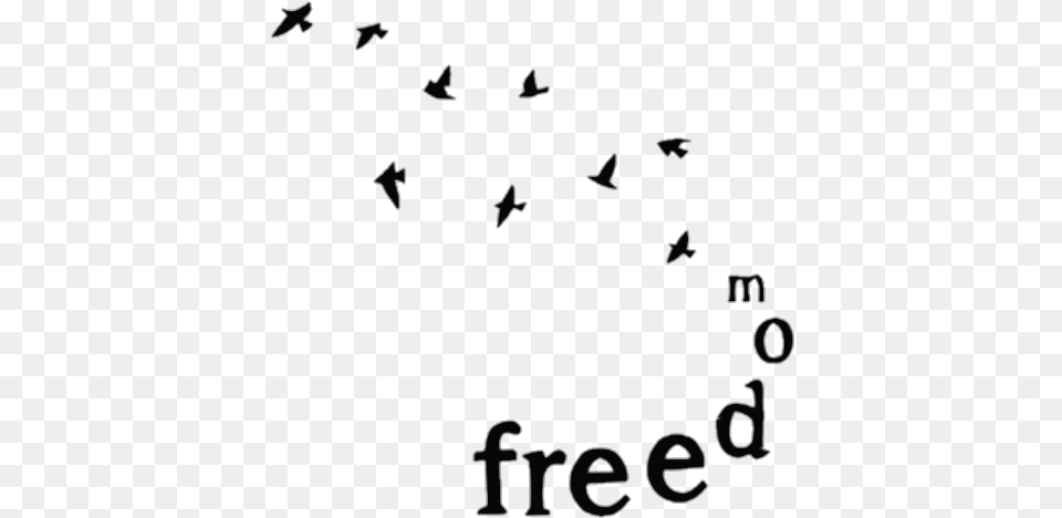 Words Clipart Freedom Freedom Words, Text, Animal, Bird, Blackboard Png