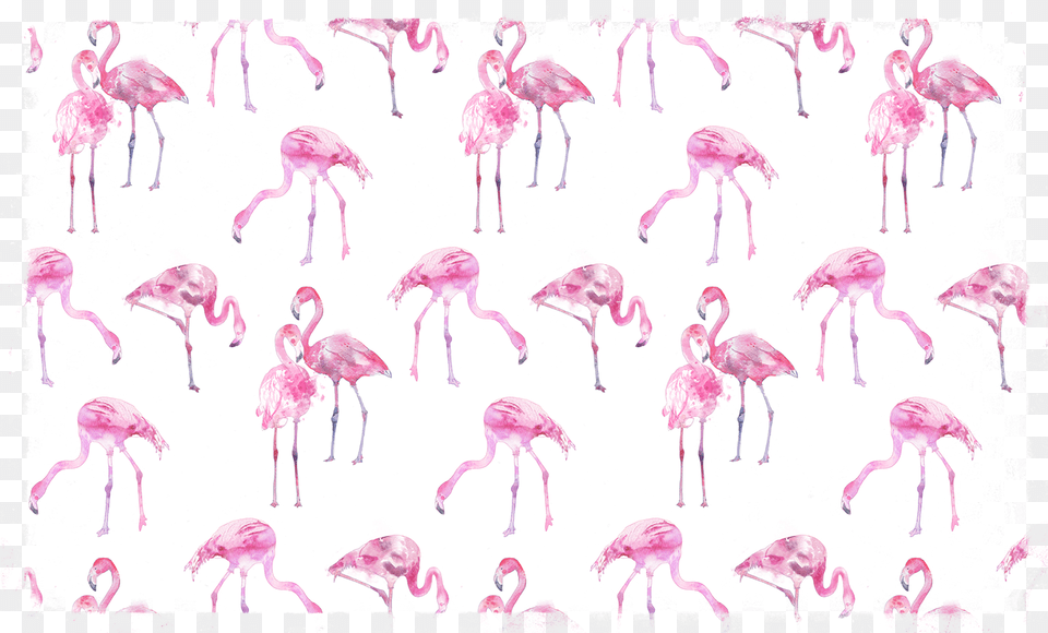 Work Sketch, Animal, Bird, Flamingo, Person Free Png