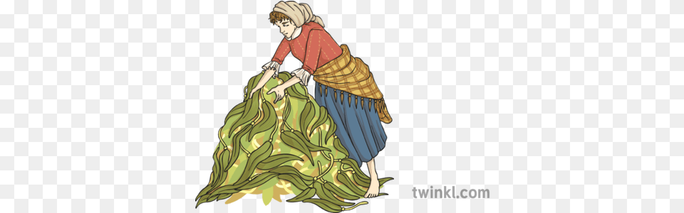 Worker Collecting Kelp Illustration Fictional Character, Adult, Female, Person, Woman Free Png Download