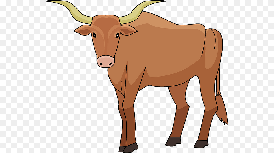 Working Animal, Cattle, Livestock, Mammal, Longhorn Free Png