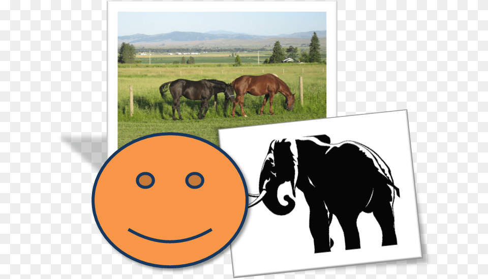 Working Animal, Grazing, Rural, Countryside, Pasture Free Transparent Png