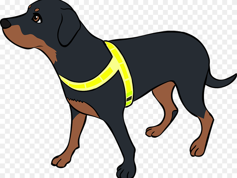Working Dog, Accessories, Animal, Canine, Mammal Free Transparent Png